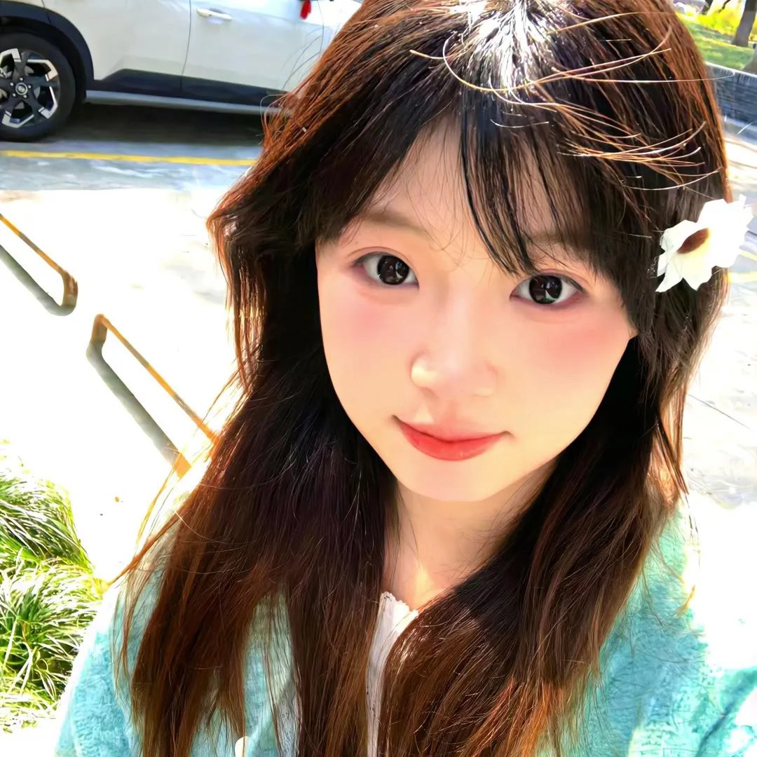 我的海獭先生 在线观看